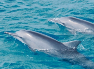 旅イメージ写真